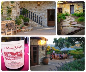 Holman Ranch Vineyards – Carmel Valley